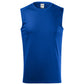 color_royalblue