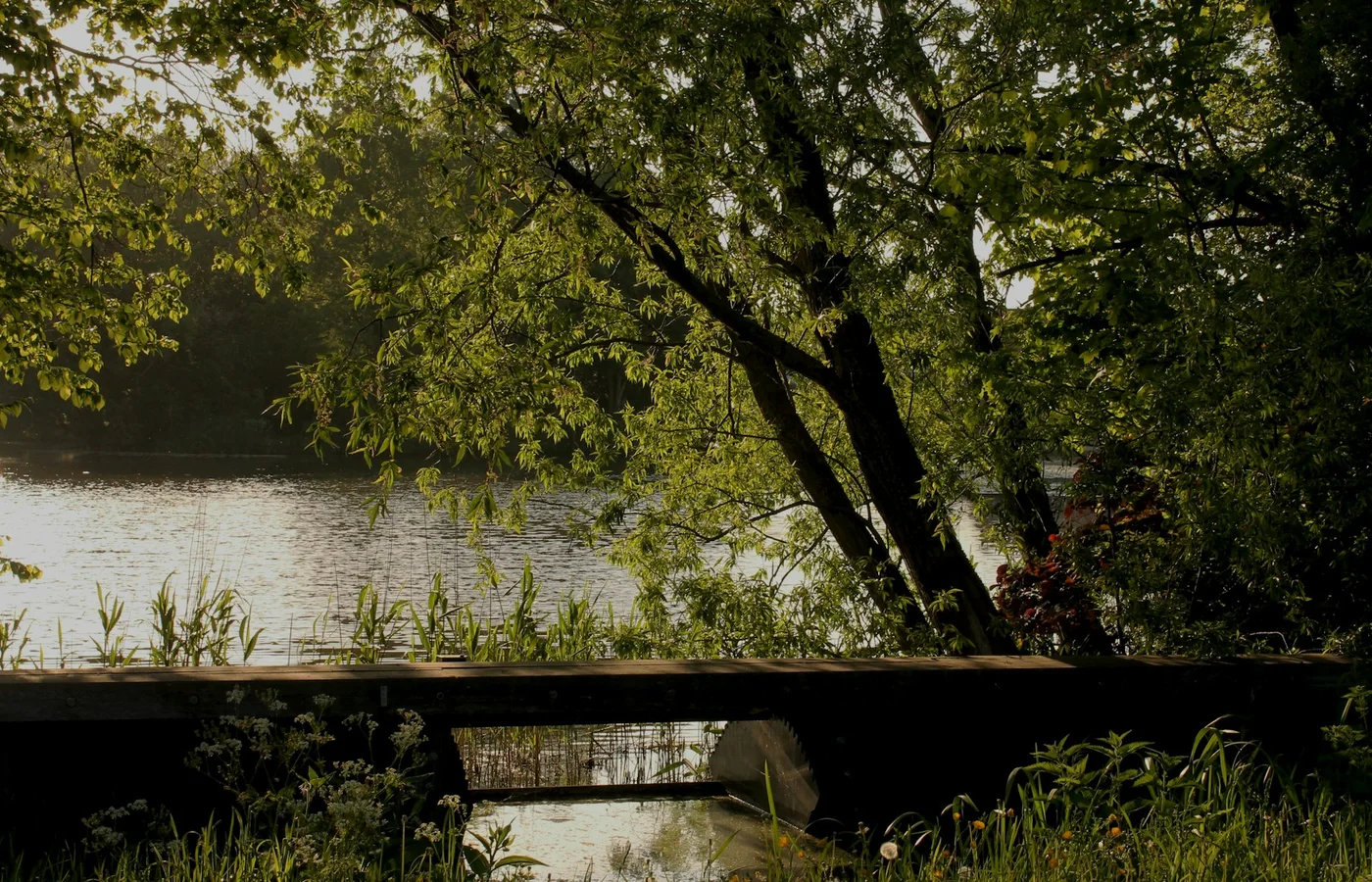 Water en groen in het Schollebos in Capelle aan den IJssel