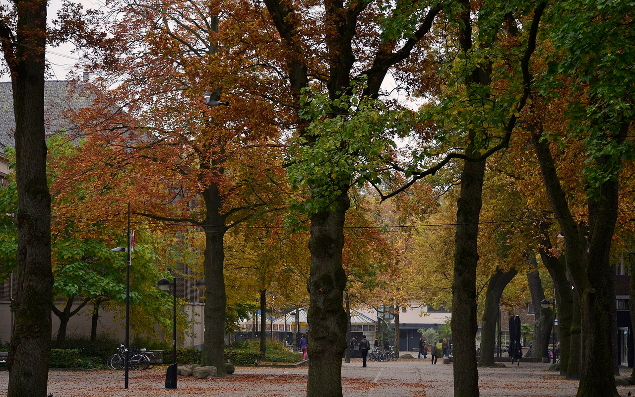Cityscape of Emmen