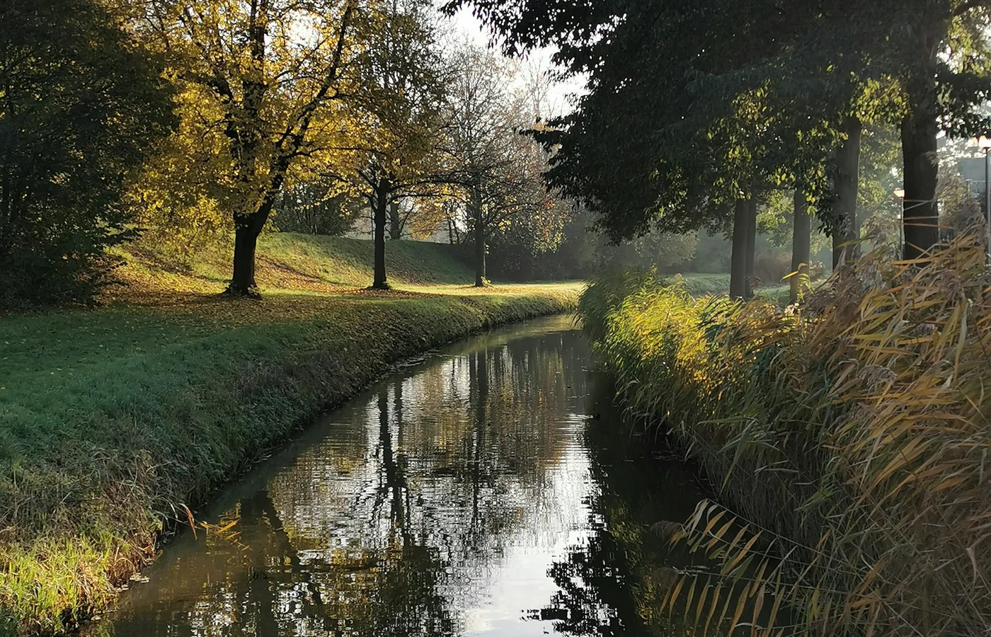 Groene rivieroever in Ridderkerk