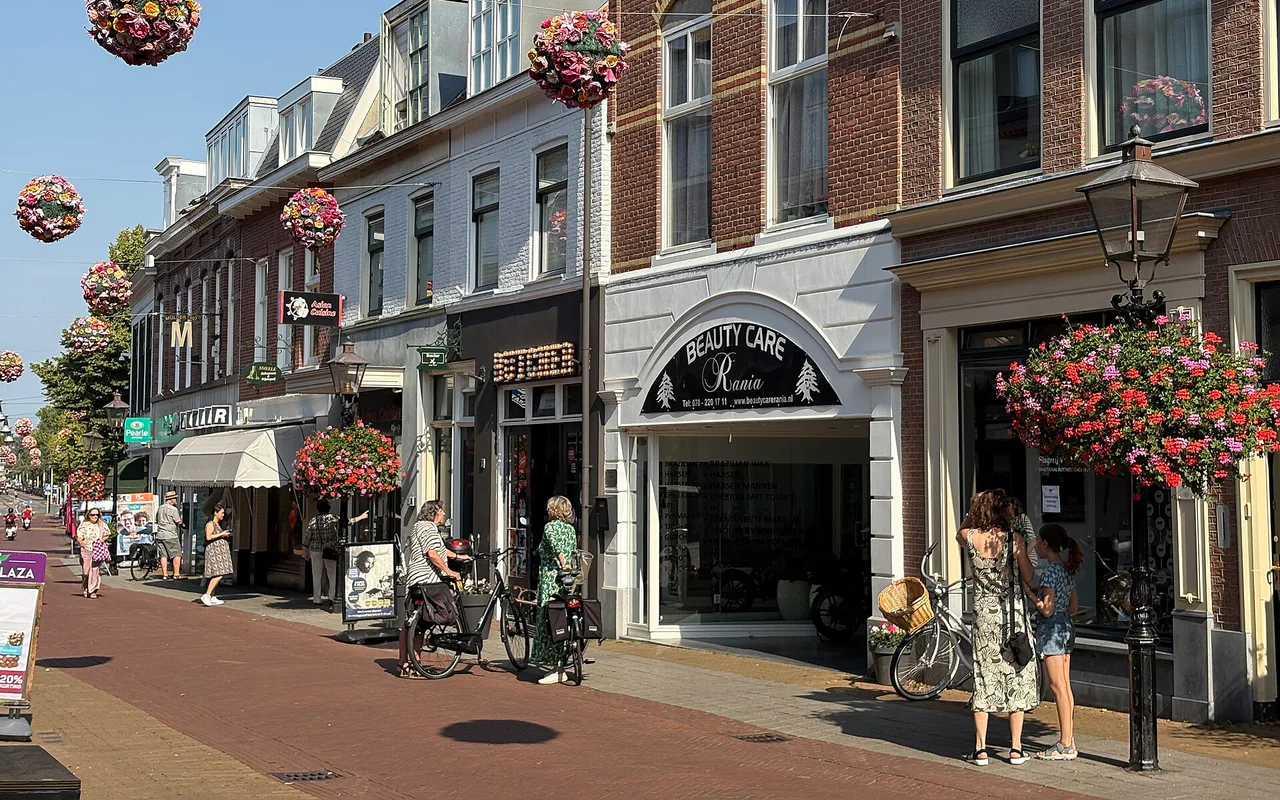 Stadsbeeld van Rijswijk