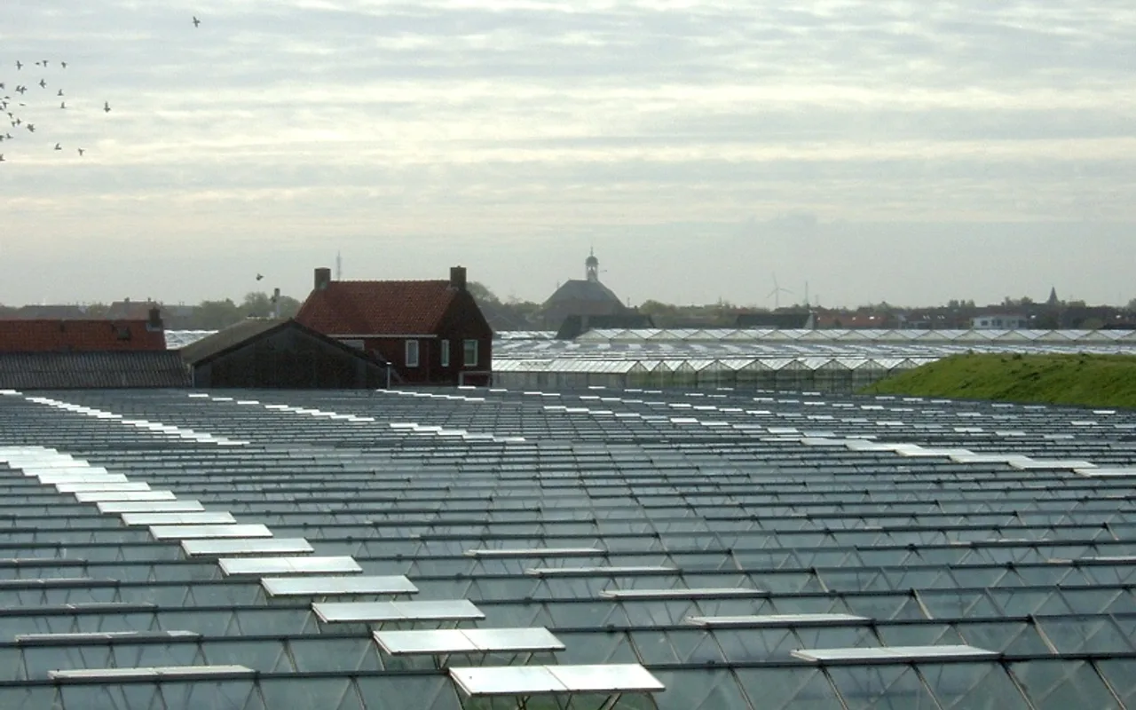 Stadsbeeld van Westland